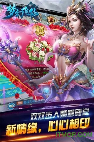 梦幻飞仙手游(梦幻飞仙手游为什么登录不了)